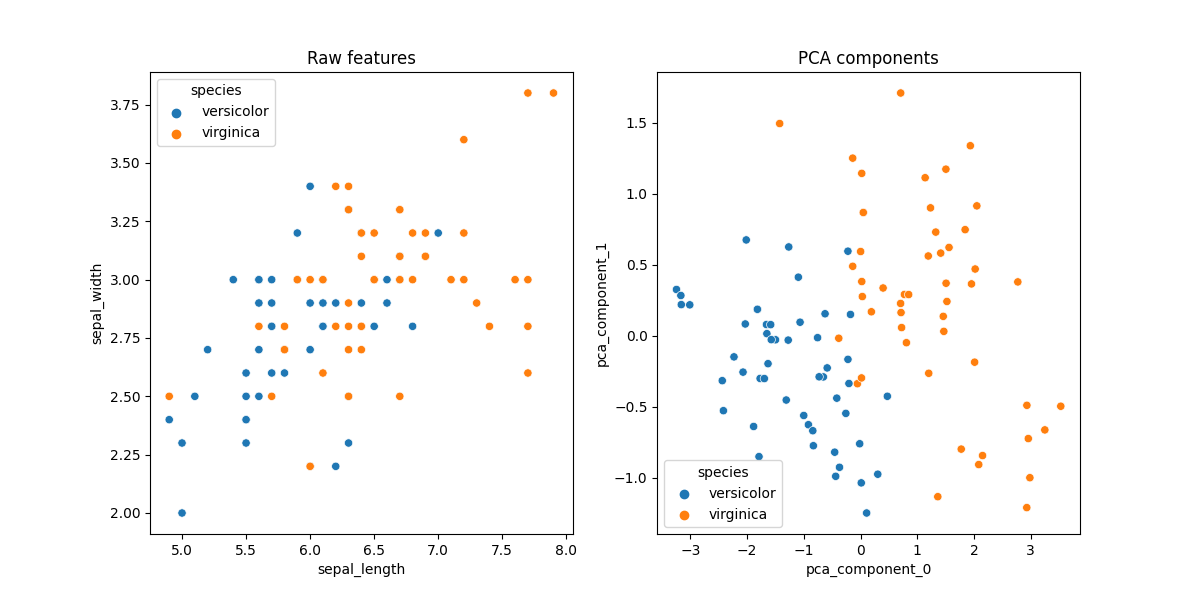 Raw features, PCA components