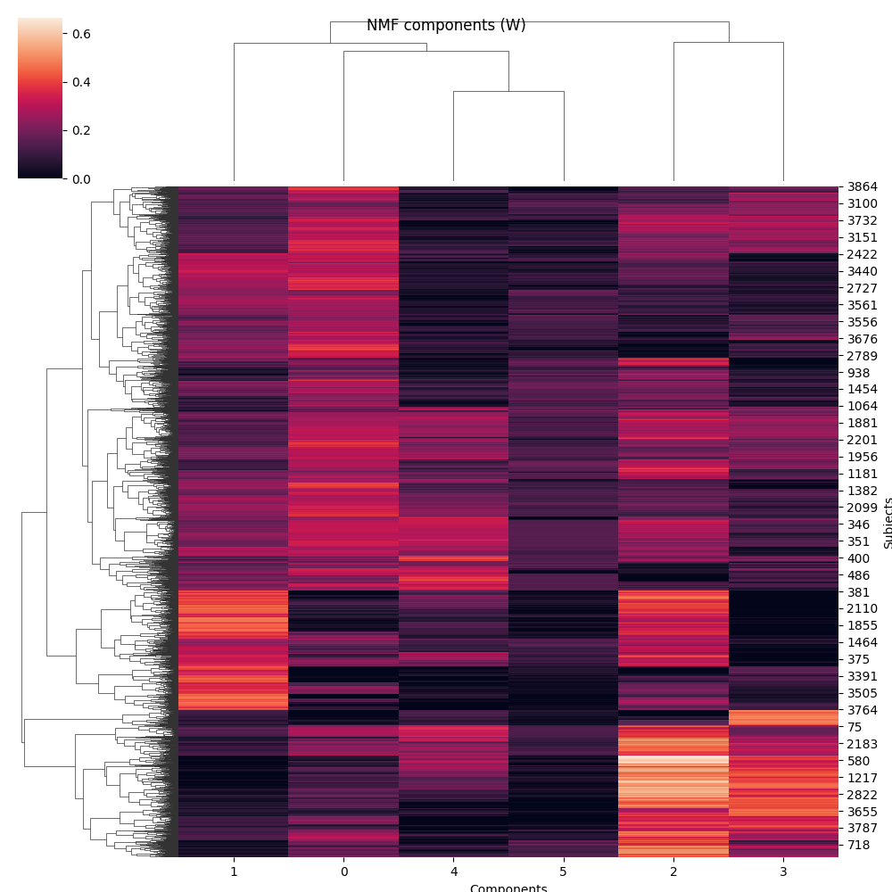 NMF components (W)