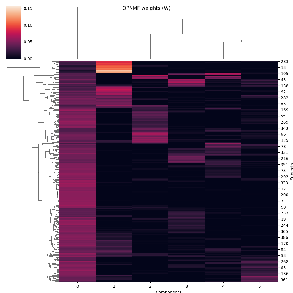 OPNMF weights (W)